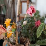 placeholder_carminda-35_