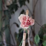 placeholder_carminda-36_