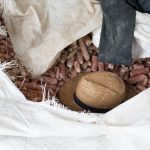 placeholder_carminda-55_